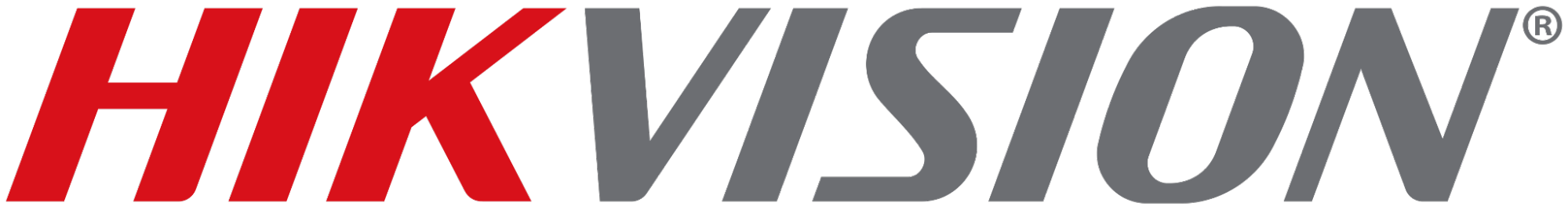 Hikvision technology partner logo
